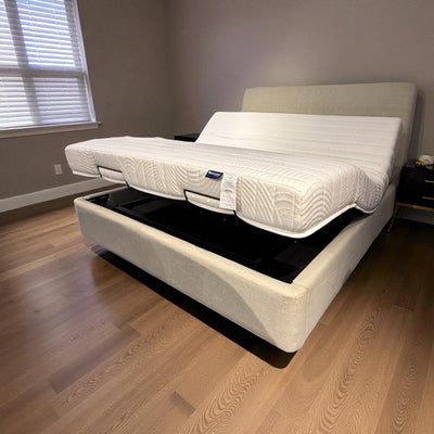 Don Adjustable Electric Recliner Bed Set